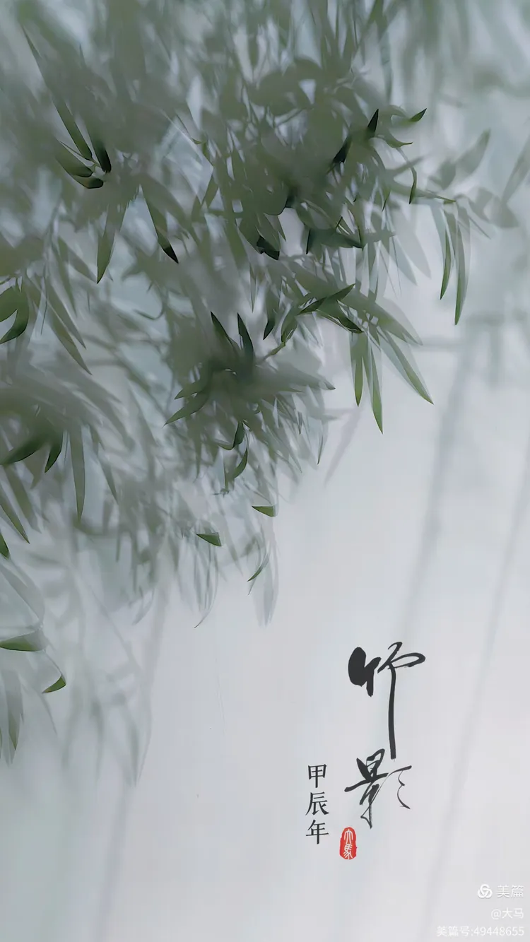 竹影 (画意摄影)